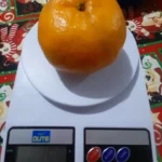 Balança Digital Cozinha Alta Precisão 10kg Dieta E Nutrição IZEWEIGHT photo review