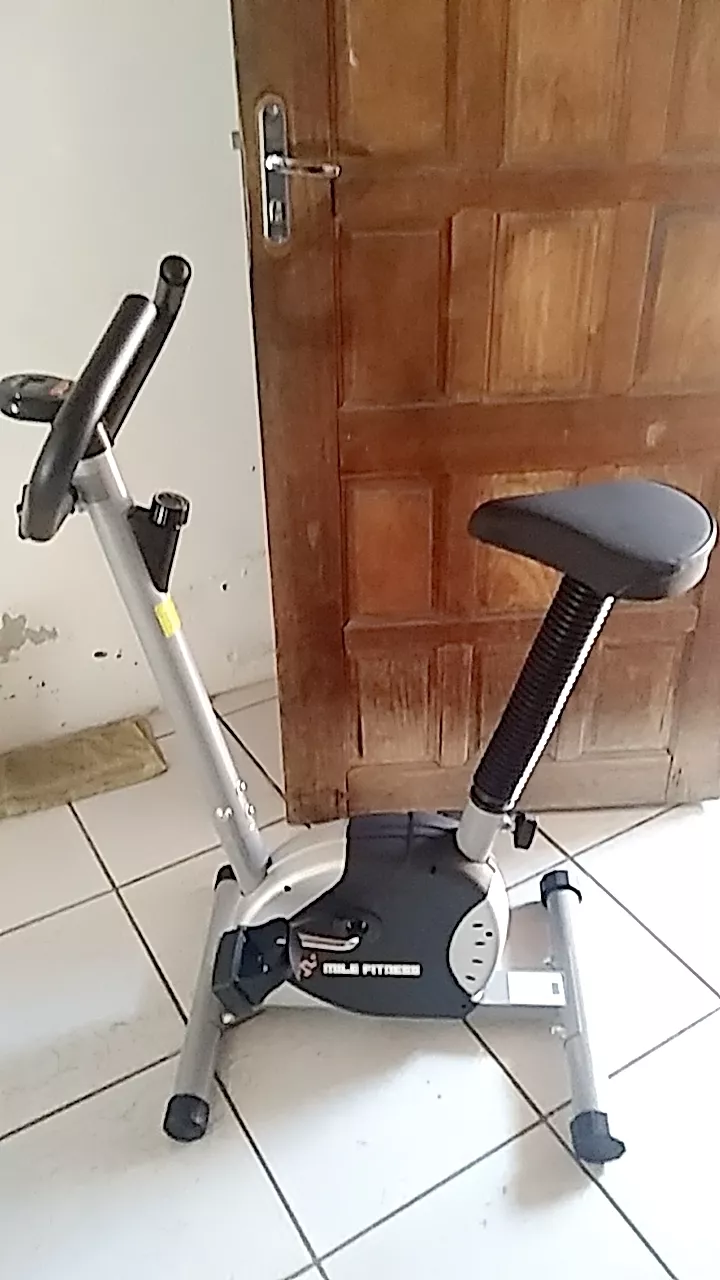Bicicleta Ergométrica com Monitor Mile Fitness até 120kg IZEHEALTH PRO photo review