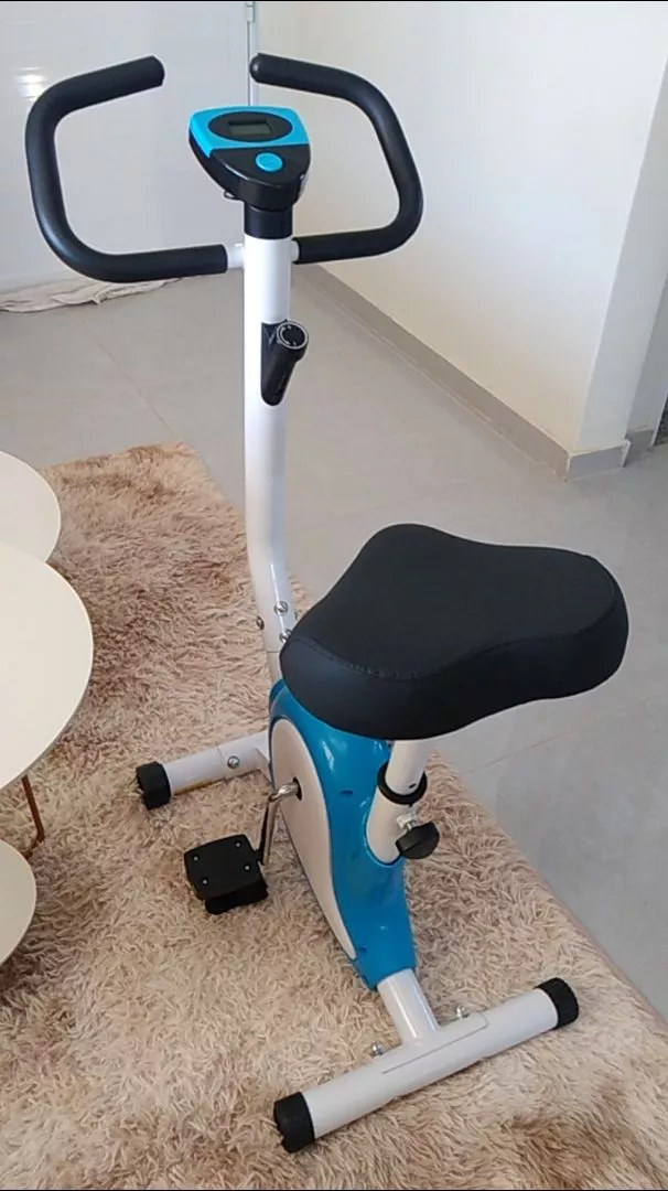 Bicicleta Ergométrica com Monitor Mile Fitness até 120kg IZEHEALTH PRO photo review