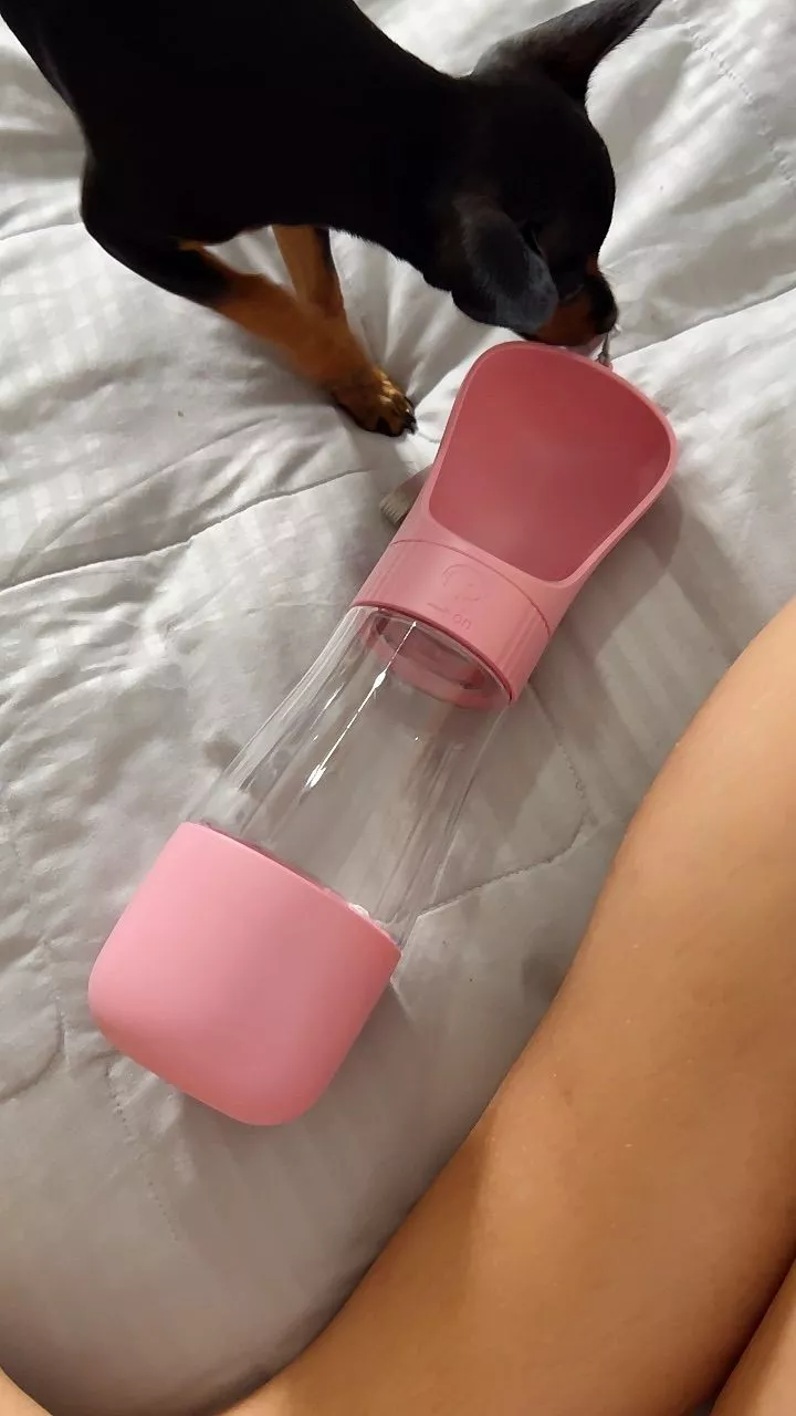 Bebedouro Automático Portátil Sistema Antiengasgo para Cachorro IZECARE PET photo review