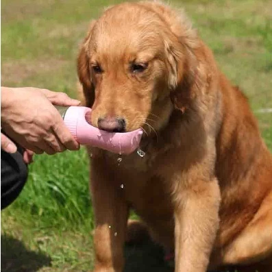 Bebedouro Automático Portátil Sistema Antiengasgo para Cachorro IZECARE PET