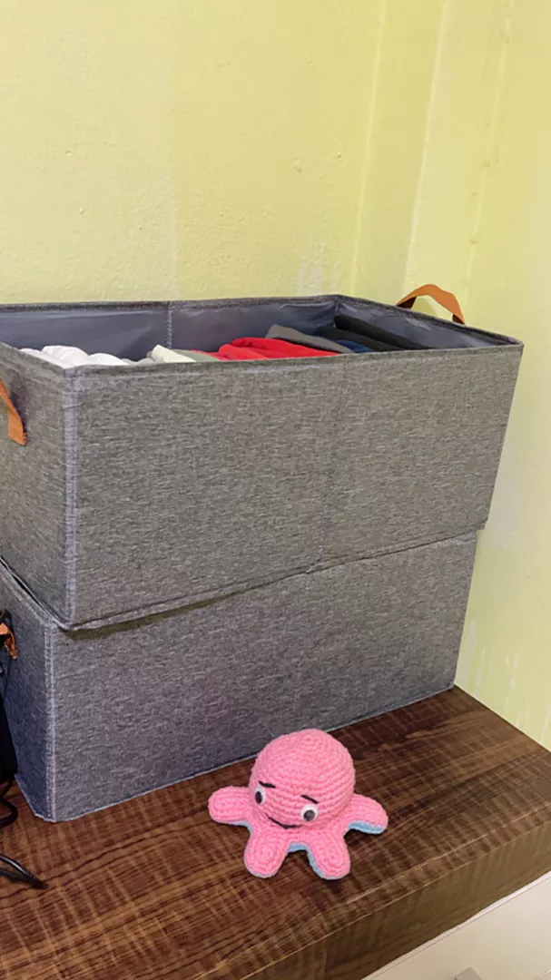Organizador de Roupas Íntimas Nylon Dobrável Multiuso IZEORDER FRESH photo review