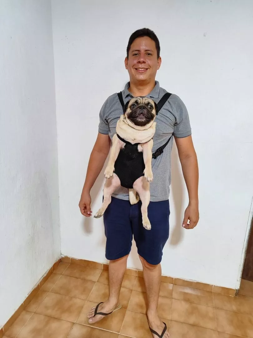 Mochila Canguru Pet Acolchoada Ajustável para Passeios IZEGO ADVENTURE photo review