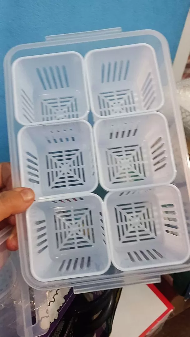 Caixa Organizadora de Alho e Legumes 6 Divisórias Acrílico Transparente Empilhável IZEKEEP FRESH photo review