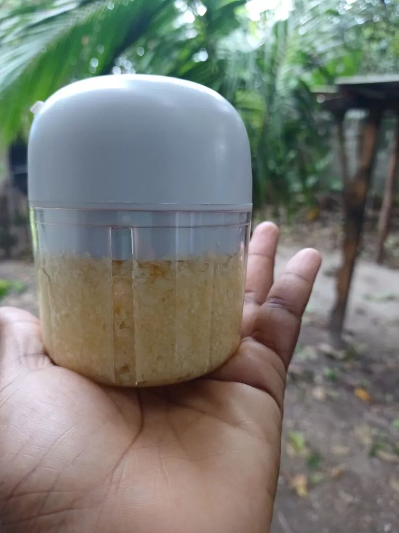 Mini Processador de Alimentos 250ml Sem Fio Portátil IZECHOPPER PRO photo review