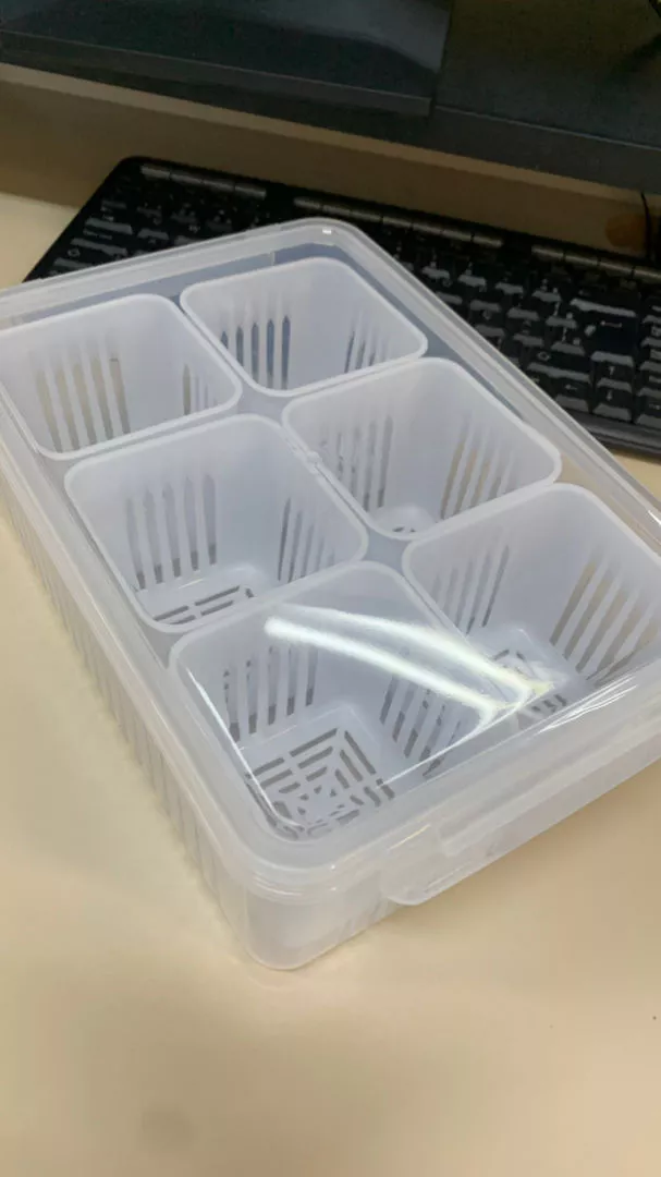 Caixa Organizadora de Alho e Legumes 6 Divisórias Acrílico Transparente Empilhável IZEKEEP FRESH photo review