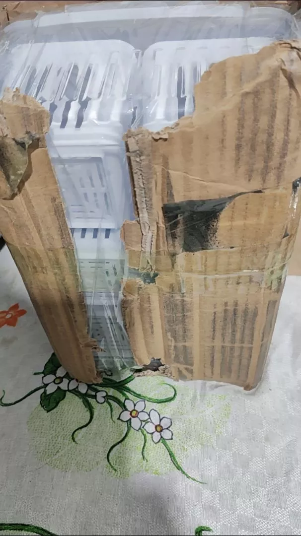 Caixa Organizadora para Alho Multiuso 6 Divisórias Acrílica Transparente Empilhável IZEKEEP FRESH photo review
