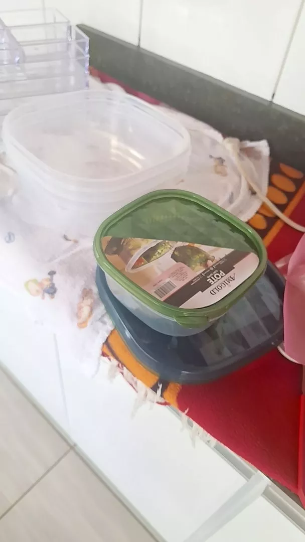 Caixa Organizadora de Alho e Legumes 6 Divisórias Acrílico Transparente Empilhável IZEKEEP FRESH photo review
