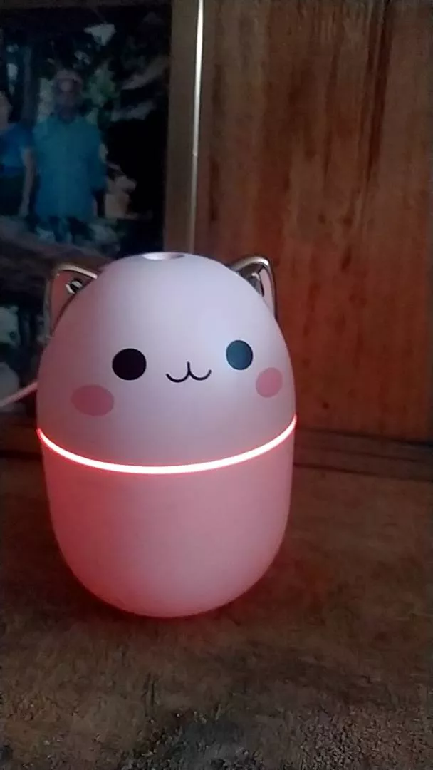Umidificador de Ar 200ml Portátil Luz Noturna Névoa Fresca IZEMIST DREAM photo review