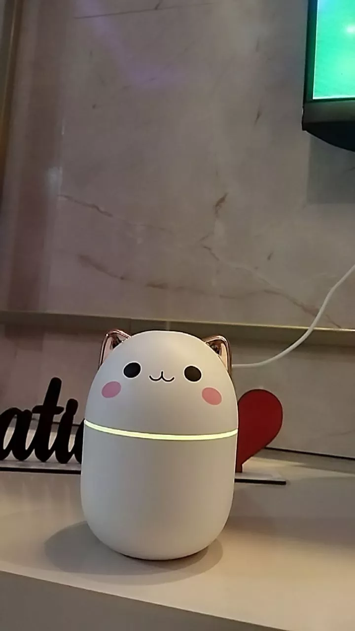 Umidificador de Ar 200ml Portátil Luz Noturna Névoa Fresca IZEMIST DREAM photo review