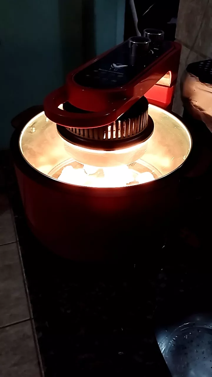 Fritadeira Air Fryer Digital 8L Sem Óleo Com Grelha IZEHEALTHY COOKER photo review