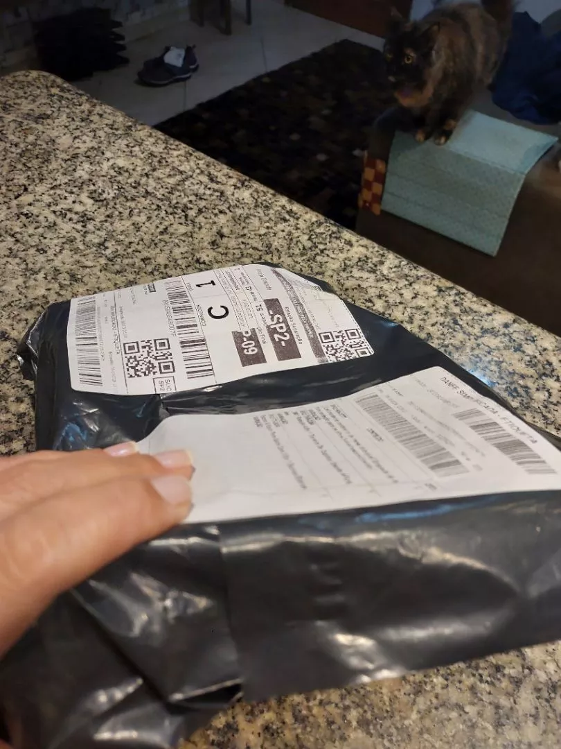 Escova a Vapor Para Gatos Remoção de Pelos Massagem Suave IZECARE PET STEAM photo review