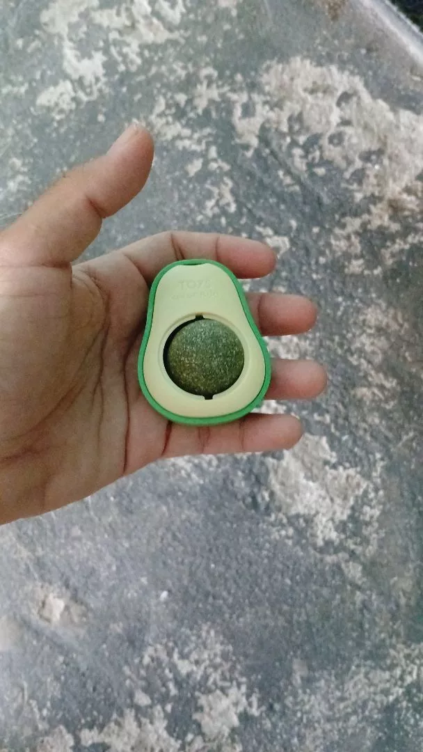 Brinquedo Abacate Para Gatos Catnip Natural Limpa Dentes AntiEstresse IZECAT FUN photo review