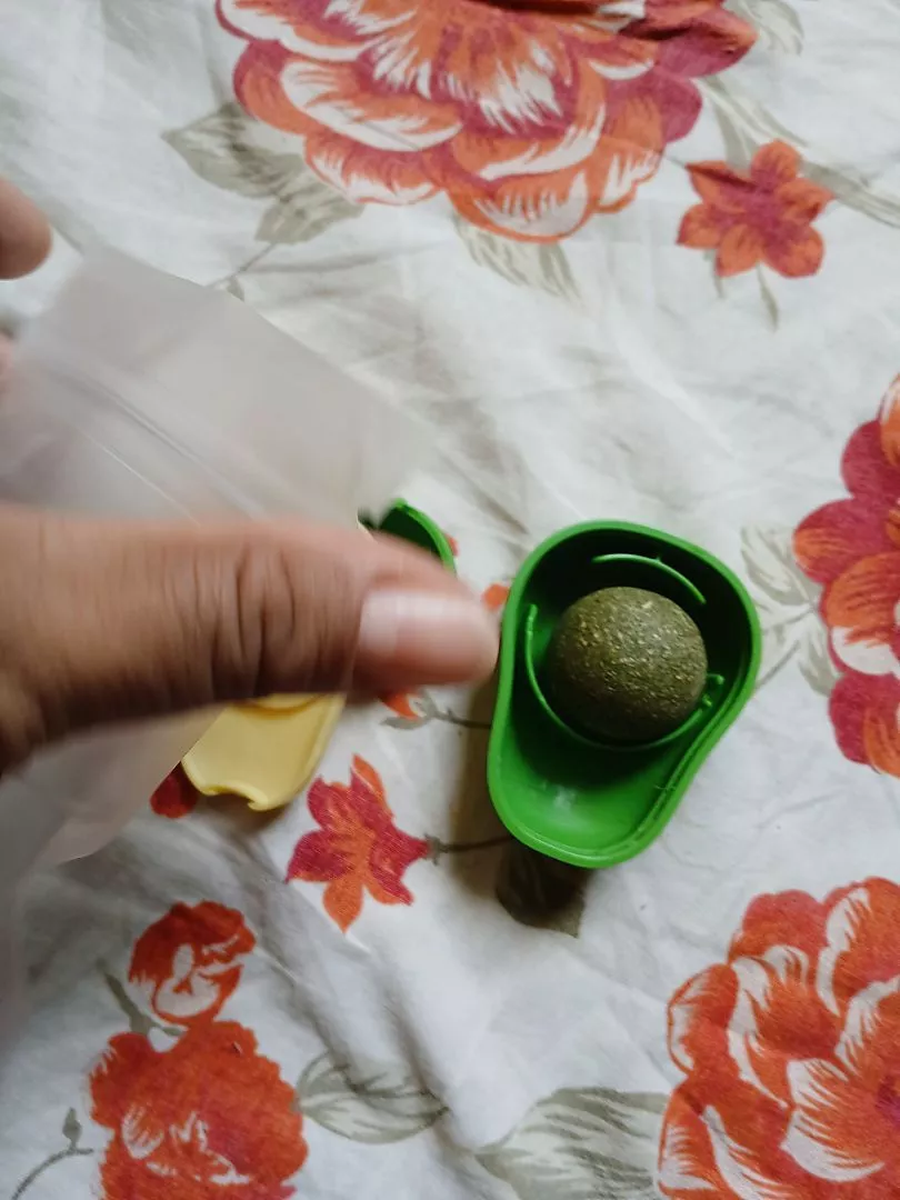 Brinquedo Abacate Para Gatos Catnip Natural Limpa Dentes AntiEstresse IZECAT FUN photo review