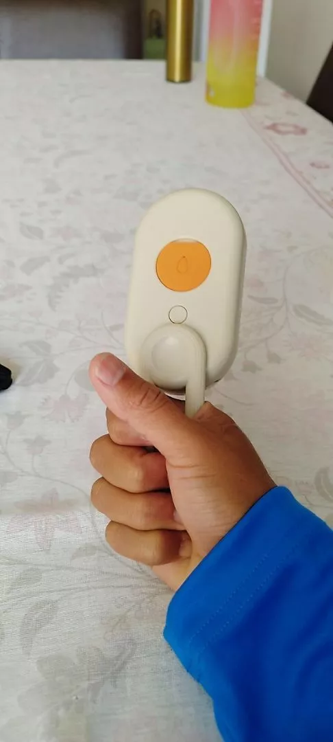 Escova a Vapor Para Gatos Remoção de Pelos Massagem Suave IZECARE PET STEAM photo review