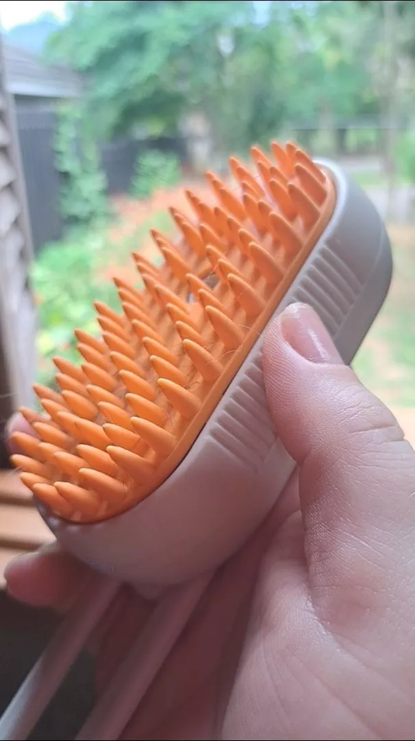 Escova Elétrica A Vapor 3 em 1 Para Gatos e Cães, Massagem, Remoção de Pelos, Recarregável - IZECARE STEAM PET photo review