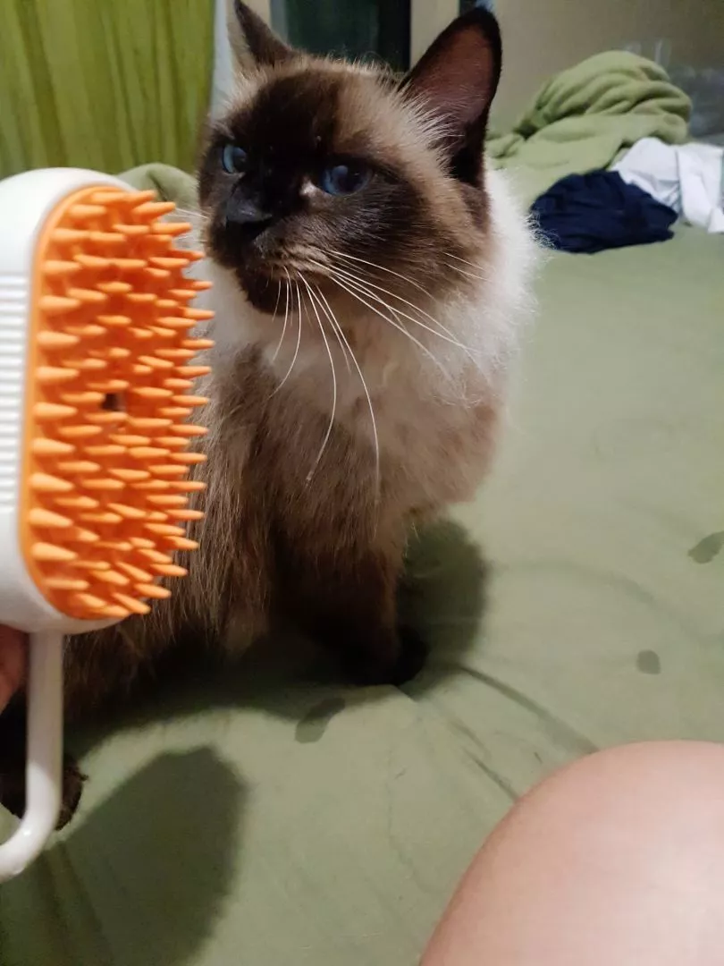Escova Elétrica para Gatos e Cães 3 em 1 Recarregável Massagem Remoção de Pelos IZEPET RELAX PRO photo review