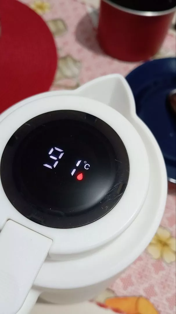 Garrafa Térmica 1 Litro Com Termômetro Led, Isolamento 24h, Cabo de Madeira IZEFRESH PRO photo review