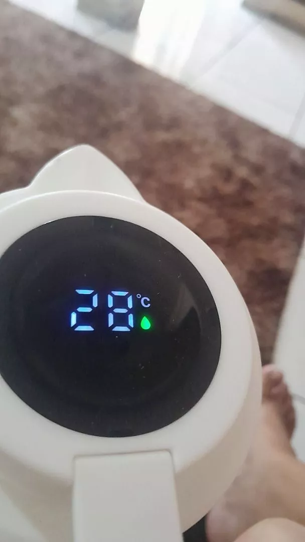 Garrafa Térmica 1 Litro Com Termômetro Led, Isolamento 24h, Cabo de Madeira IZEFRESH PRO photo review