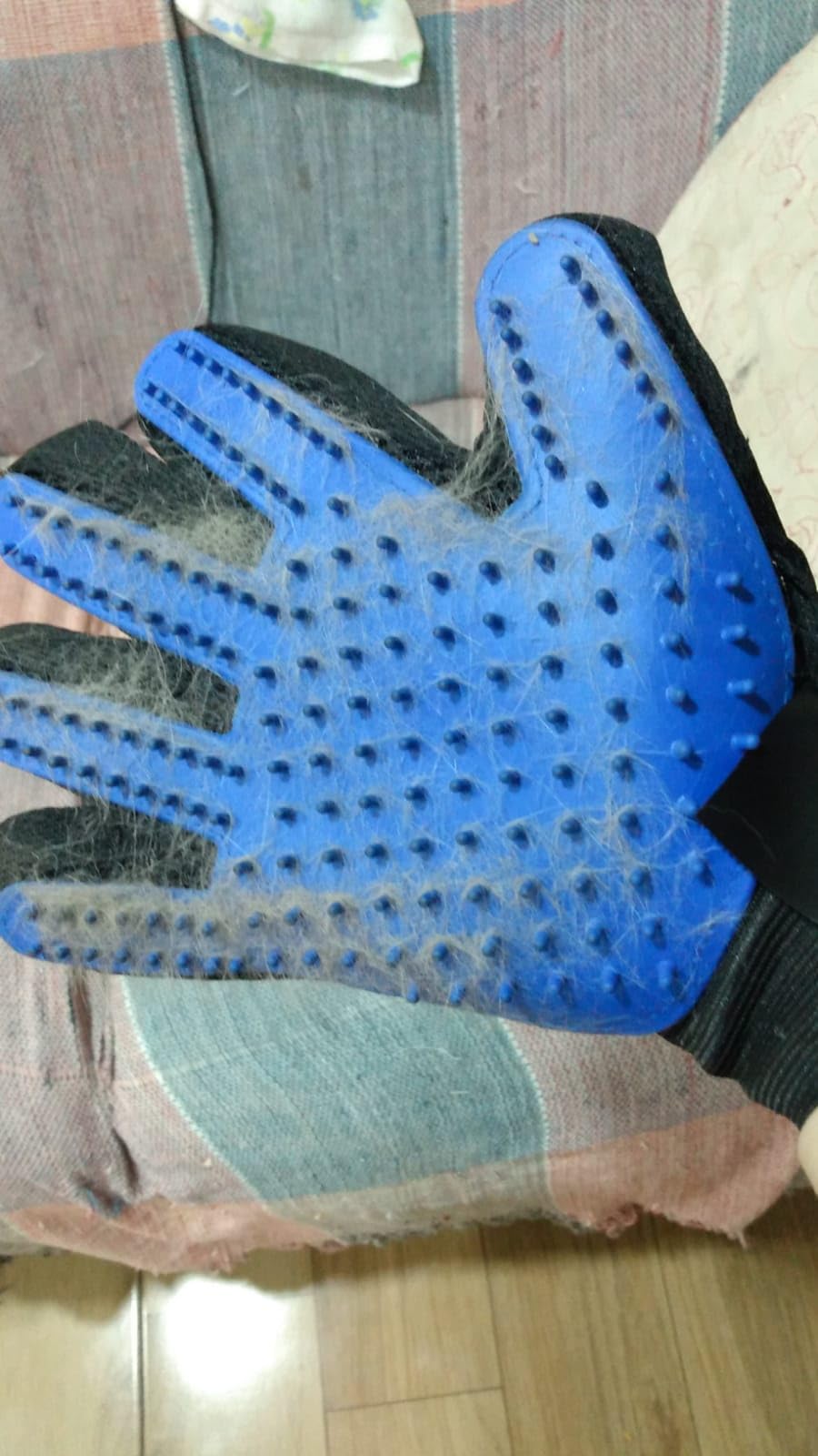 Luva Escova Tira Pelos Pet Cães Gatos Borracha Azul Preta Ajustável Massageadora IZECARE PRO photo review