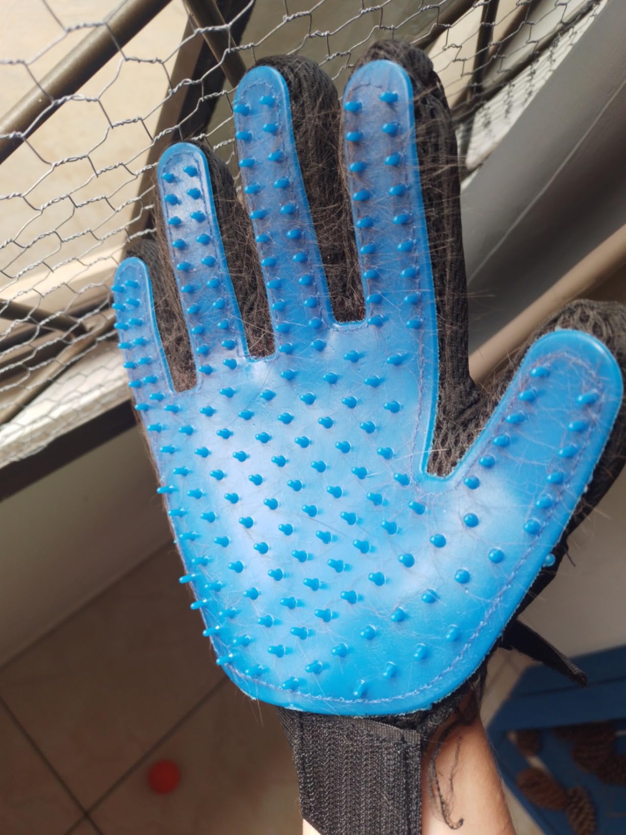 Luva Escova Tira Pelos Pet Cães Gatos Borracha Azul Preta Ajustável Massageadora IZECARE PRO photo review
