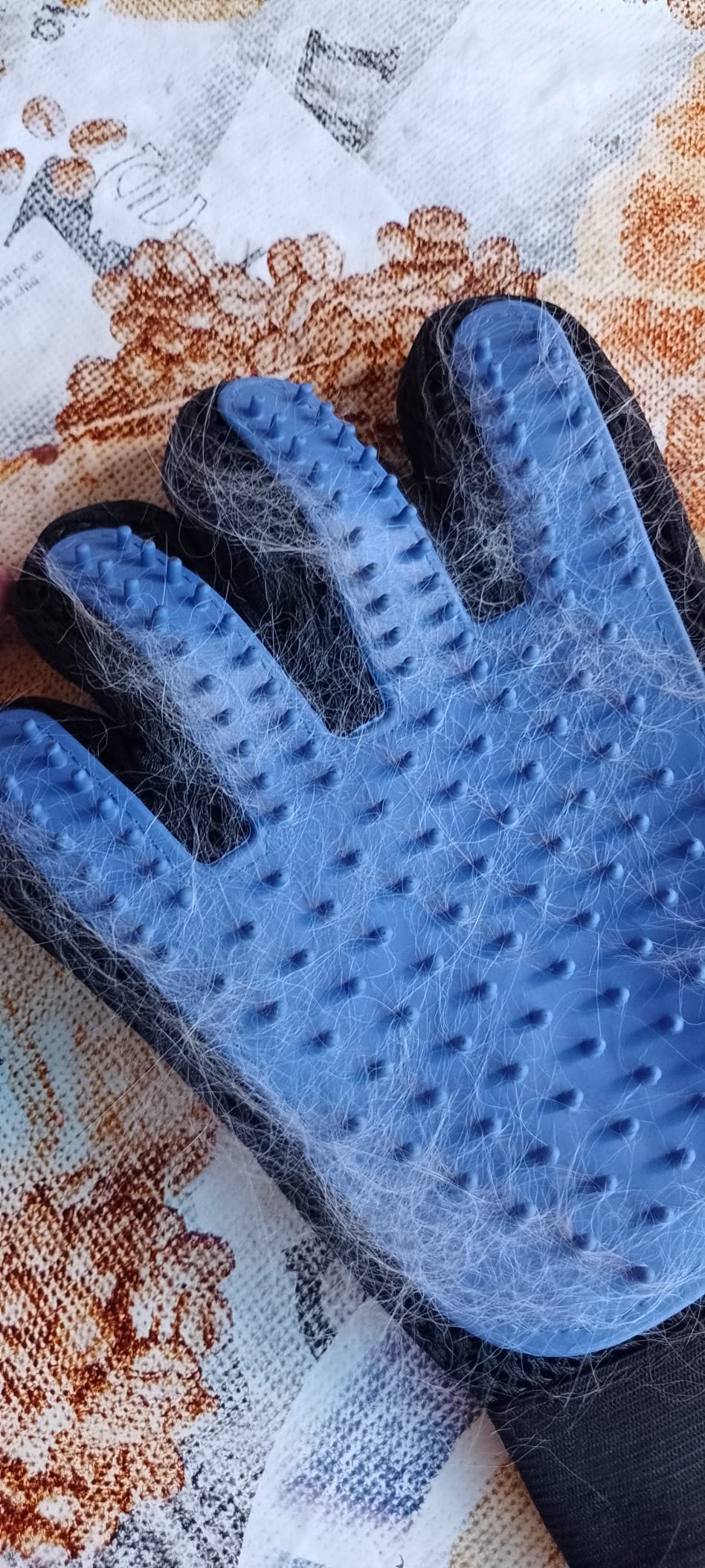 Luva Escova Tira Pelos Pet Cães Gatos Borracha Azul Preta Ajustável Massageadora IZECARE PRO photo review