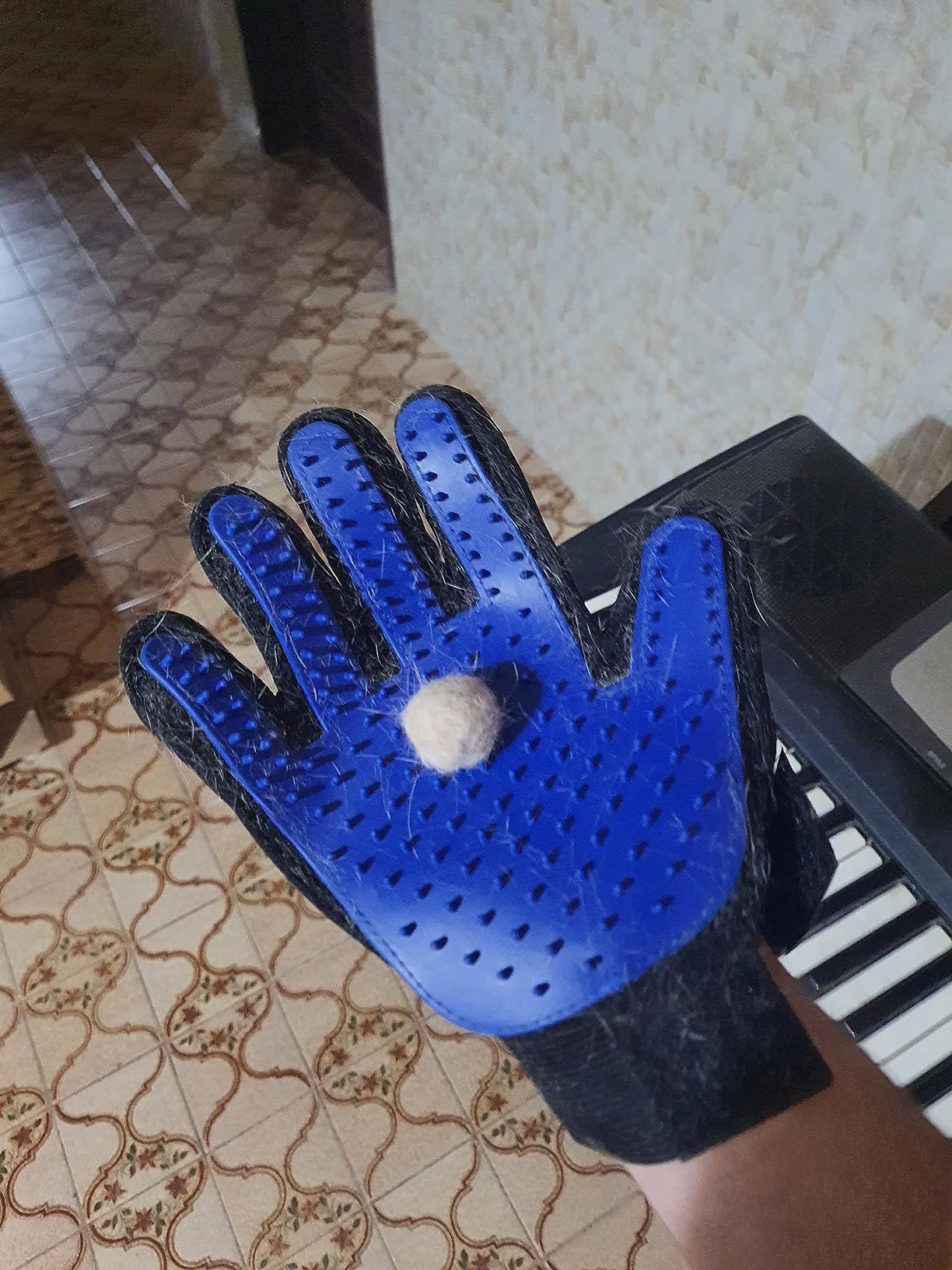 Luva Escova Tira Pelos Pet Cães Gatos Borracha Azul Preta Ajustável Massageadora IZECARE PRO photo review