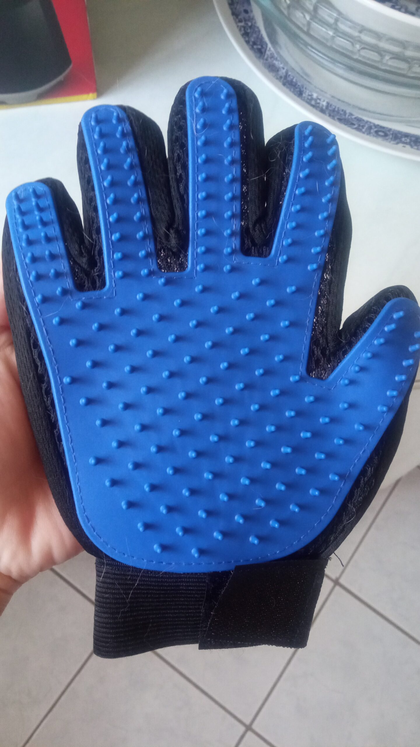 Luva Escova Tira Pelos Pet Cães Gatos Borracha Azul Preta Ajustável Massageadora IZECARE PRO photo review