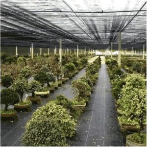 Tela Sombrite 80% 2x3m Polietileno Premium para Horta e Estufa IZEGARD PRO Tela Sombrite 80% 2x3m Polietileno Premium para Horta e Estufa IZEGARD PRO