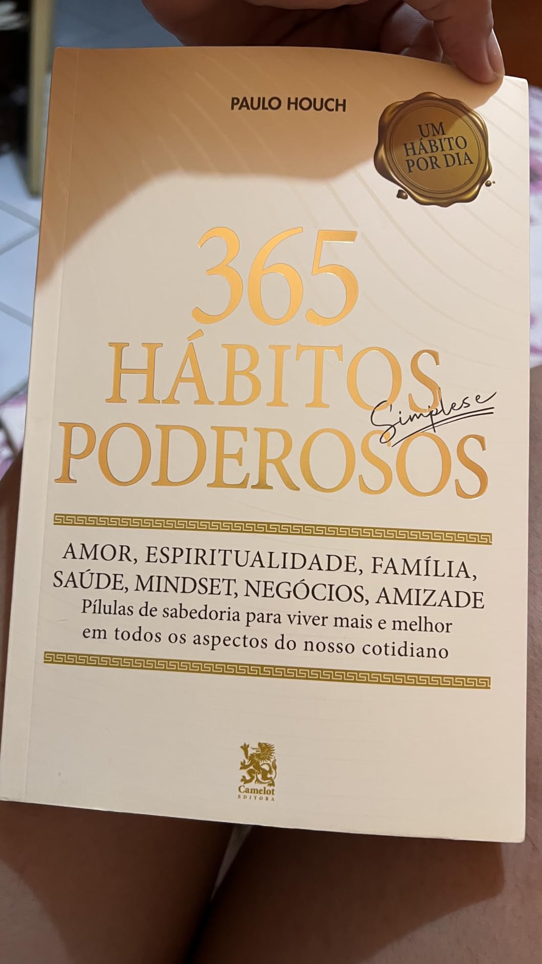 Livro 365 Hábitos Simples e Poderosos para Transformar a Vida, Desenvolver Foco e Disciplina e Construir uma Rotina de Sucesso IZE LIFE photo review